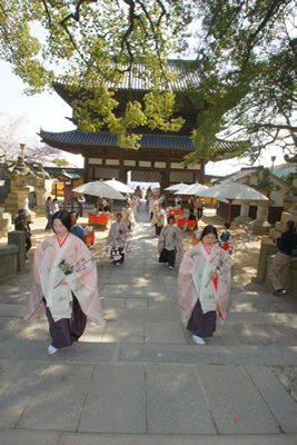 「こんぴらの四季祭」写真コンテスト入賞作品　桜花祭