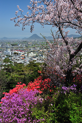 「こんぴらの四季祭」写真コンテスト入賞作品　眺望絶佳